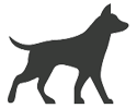hund